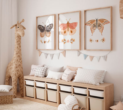 Set Butterfly